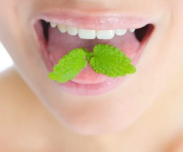 Ganzheitliche Zahnheilkunde