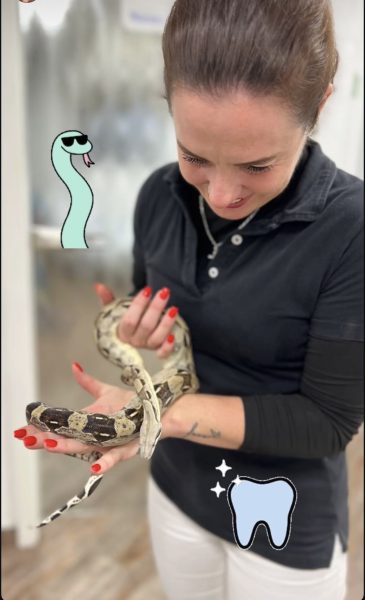 Schlange von Patient zu Besuch